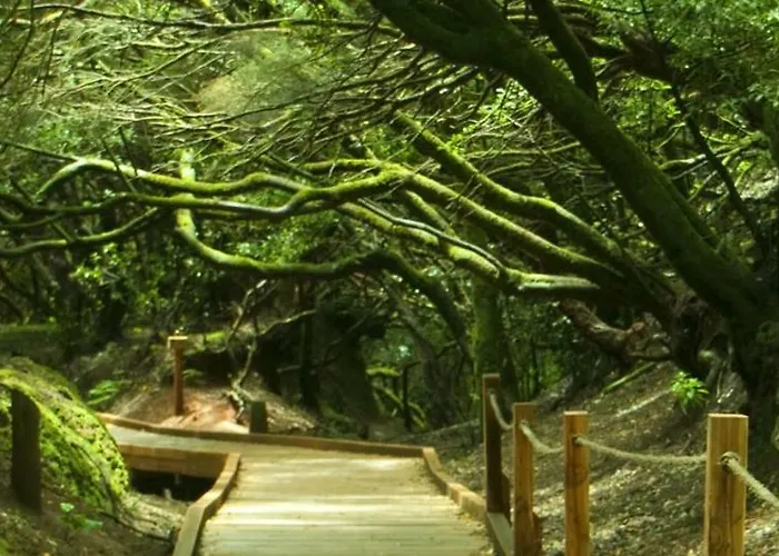 公寓 San Francisco