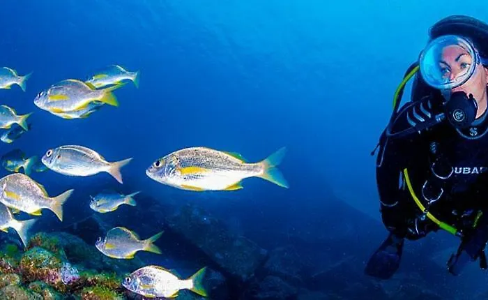 San Francisco 公寓 *