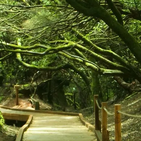 Apartmán San Francisco