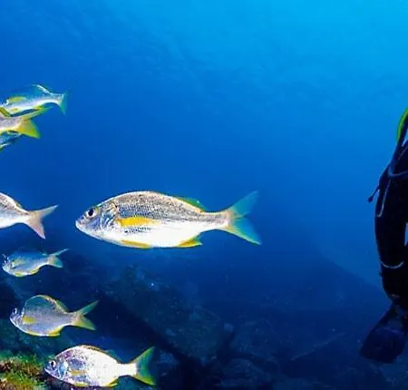 San Francisco Apartmán *